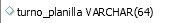 2. turno_planilla: horario planilla