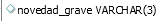 11. novedad_grave : Checbox de si la novedad es grave o no 