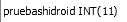 1. pruebashidroid: identificador primario